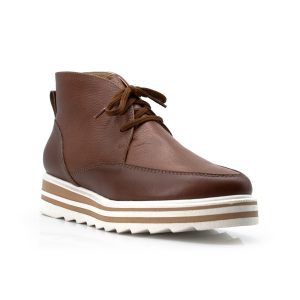 Modelo 21694