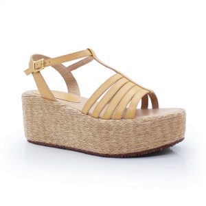 Modelo 22281