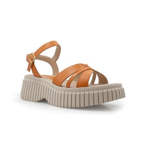 24035_Selene_2-V.2.1