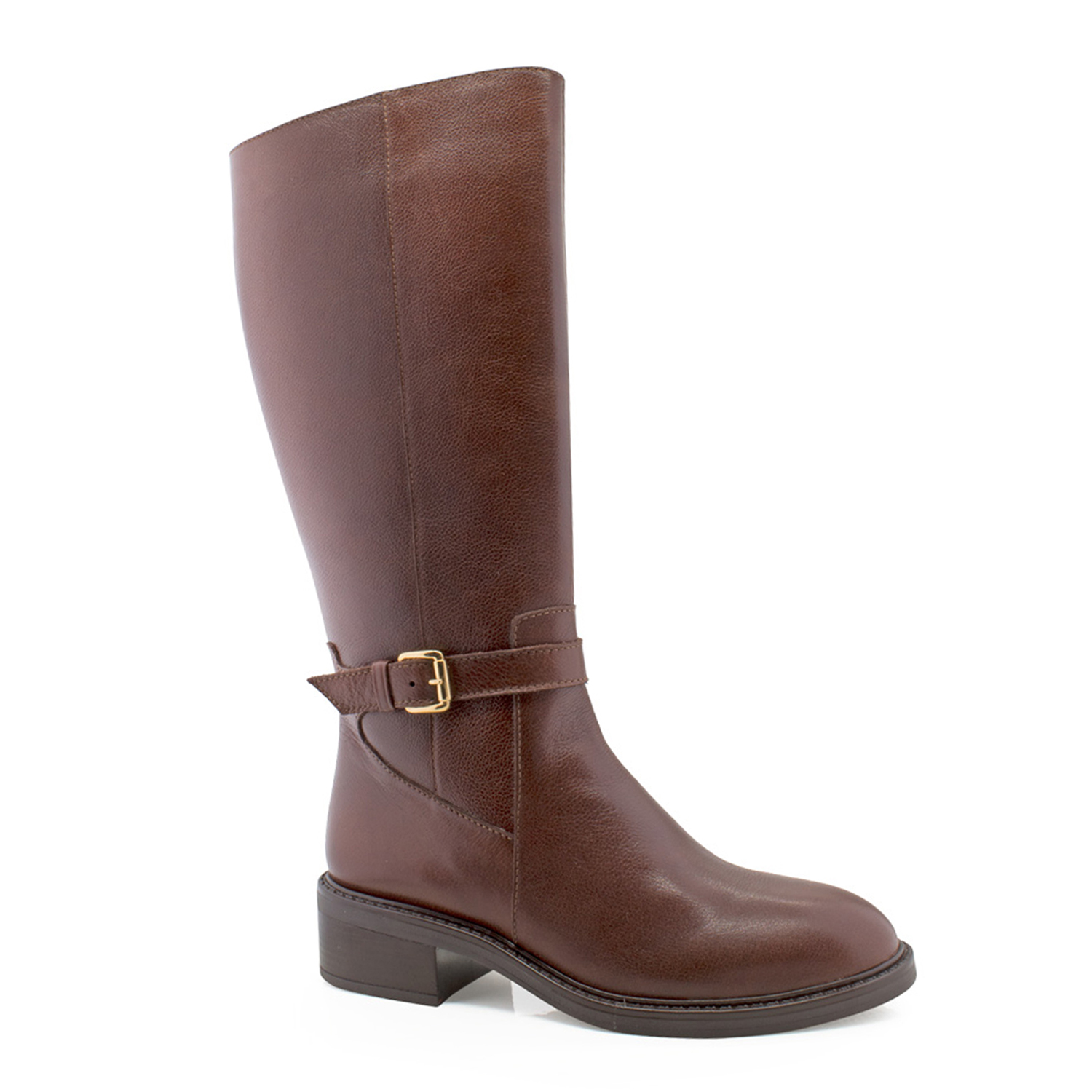 Modelo 25851