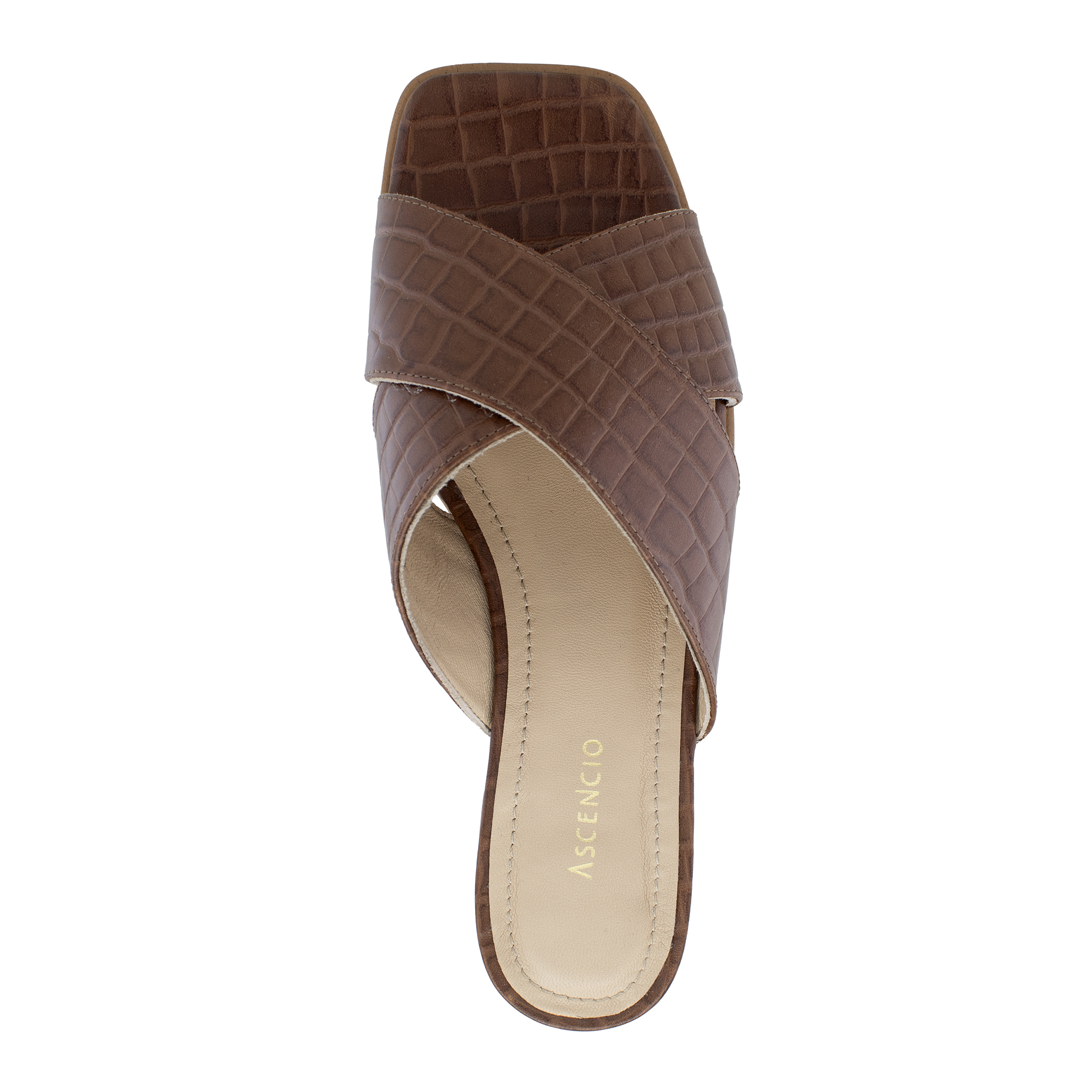 26244_Sandra_3 copia