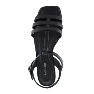 26245_Sandra_3 copia